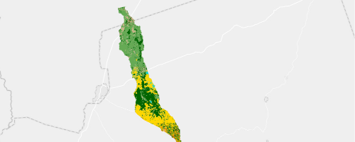 Solution Scape 2 Land Cover July 2024
