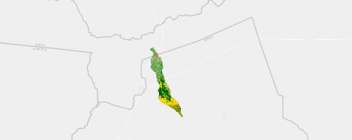 Solution Scape 2 Land Cover July 2025
